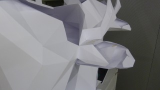 l1010547